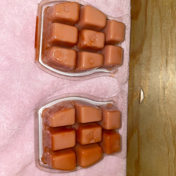 Scentsy Bundle - Picture 5 of 8